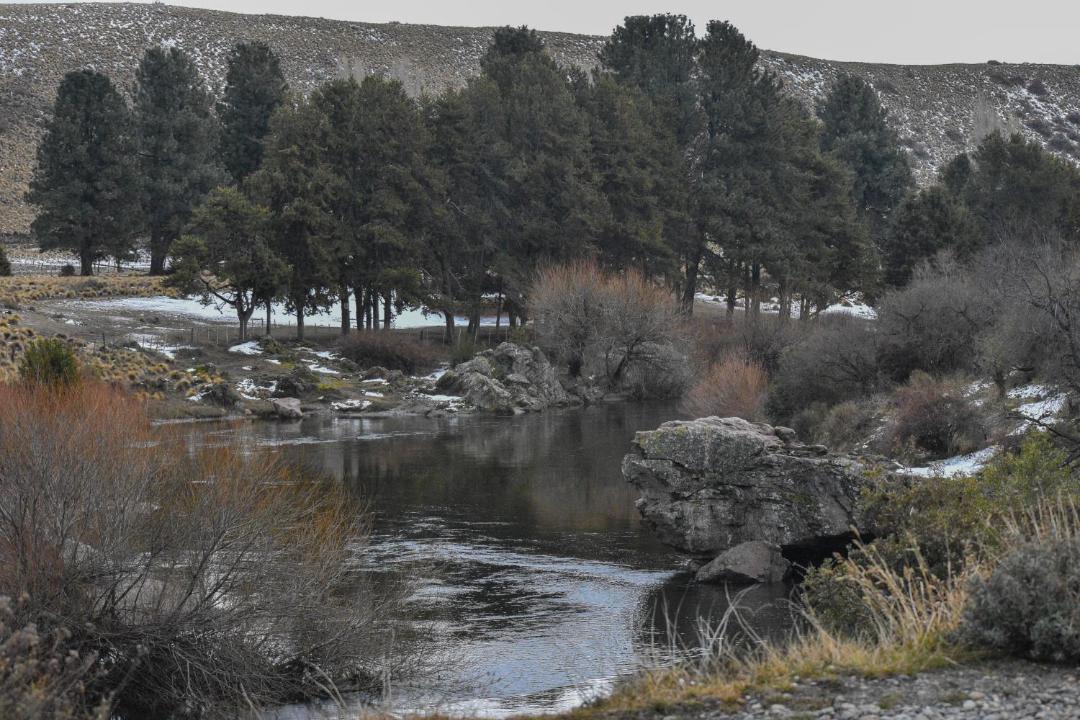 Photo of Others in Dina Huapi