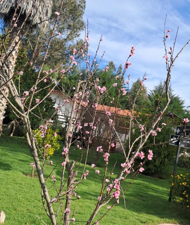 Photo of Outdoor in Las Cabras