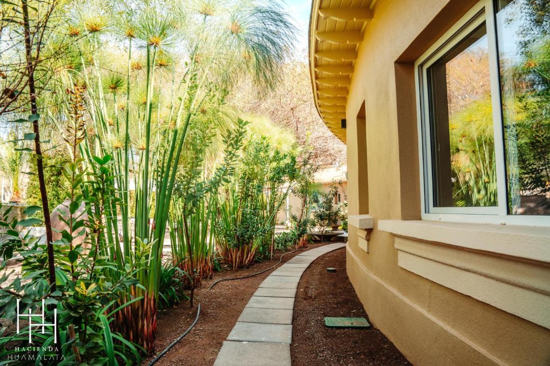 Photo of Patio Balcony in Ovalle