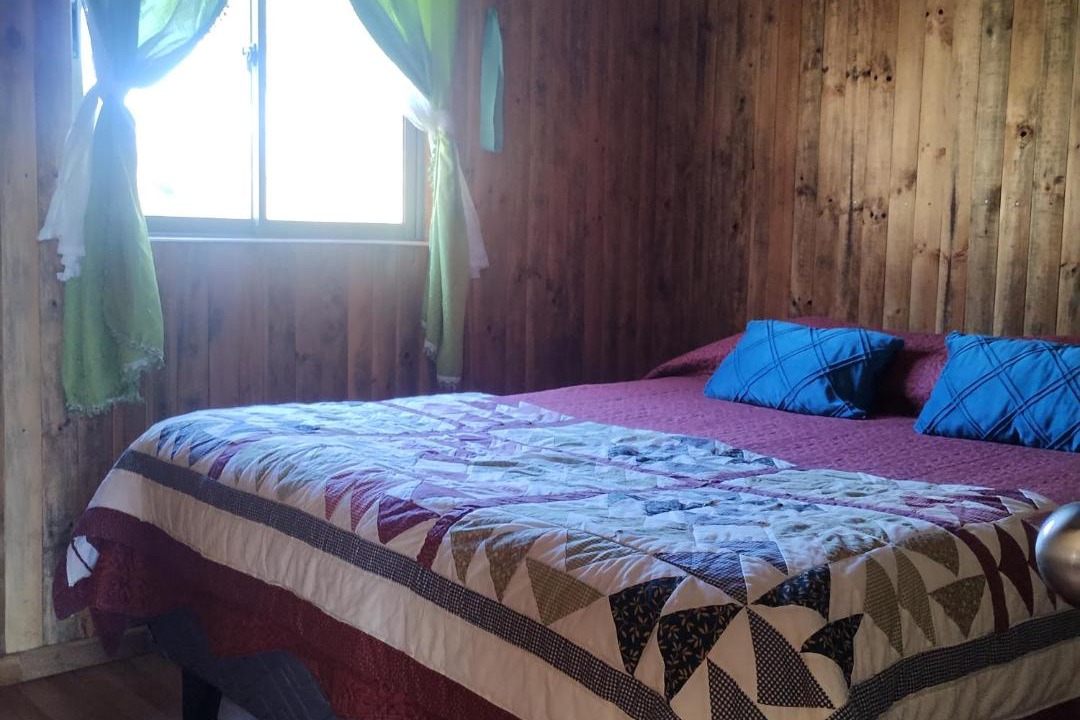 Photo of Bedroom in Panguipulli