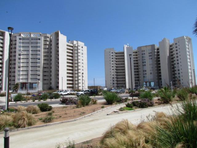 Photo of Others in La Serena