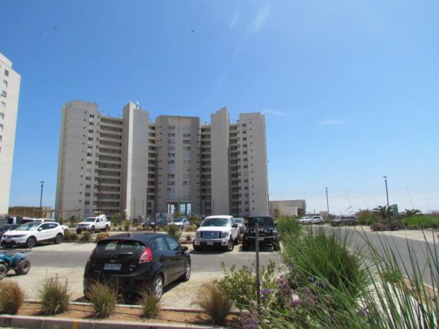 Photo of Others in La Serena