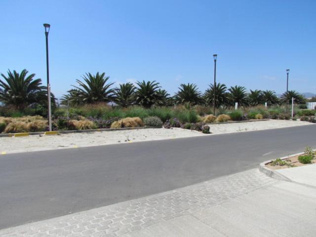 Photo of Others in La Serena