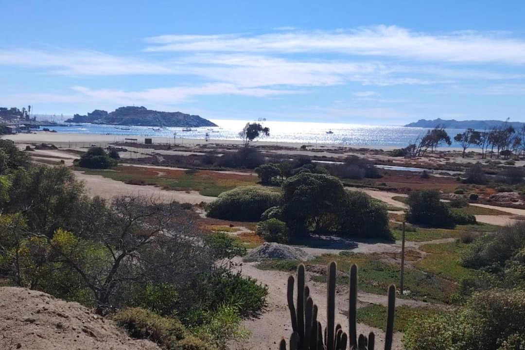 Photo of Others in Pichidangui