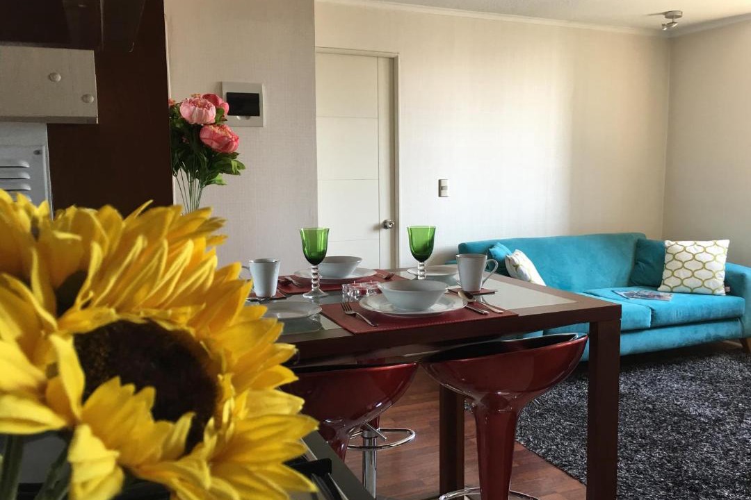Photo of Livingroom in Bellas Artes