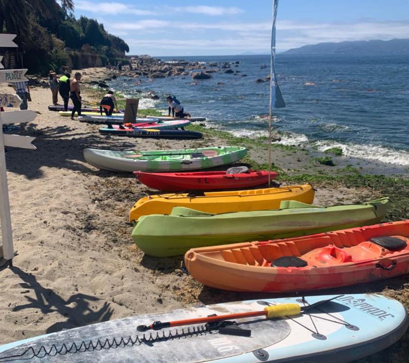 Photo of Others in Caleta Horcon