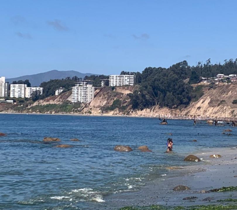 Photo of Others in Caleta Horcon