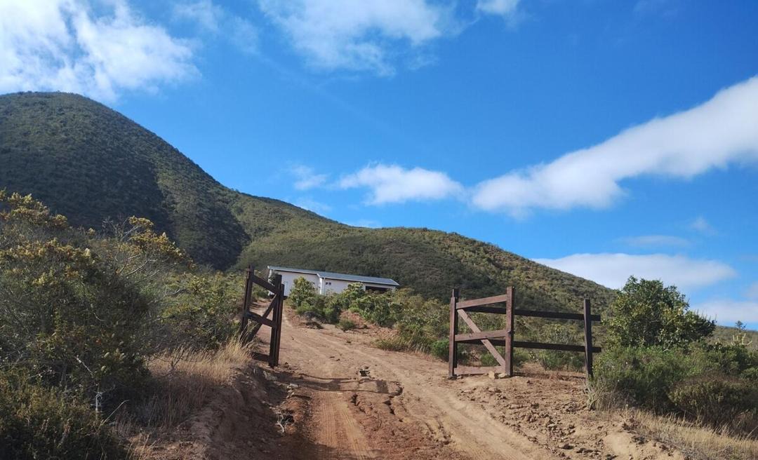 Photo of Others in Los Vilos