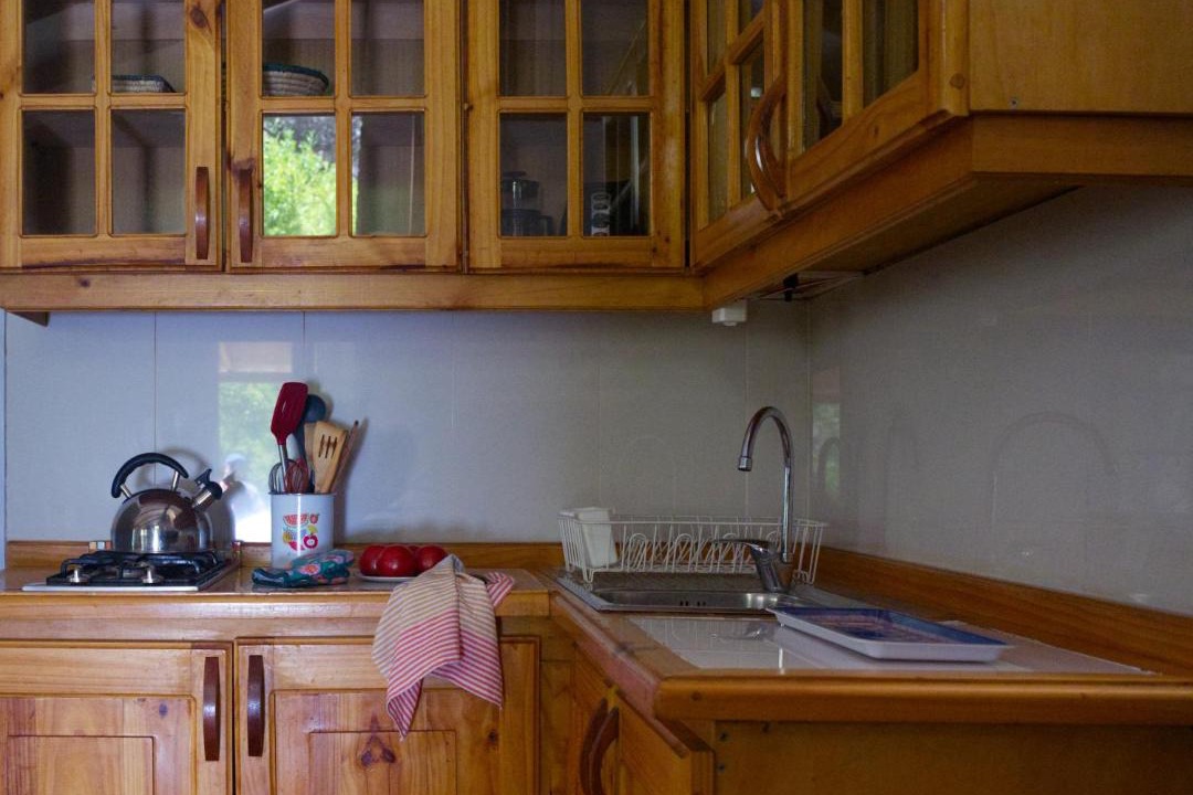 Photo of Kitchen in Paihuano