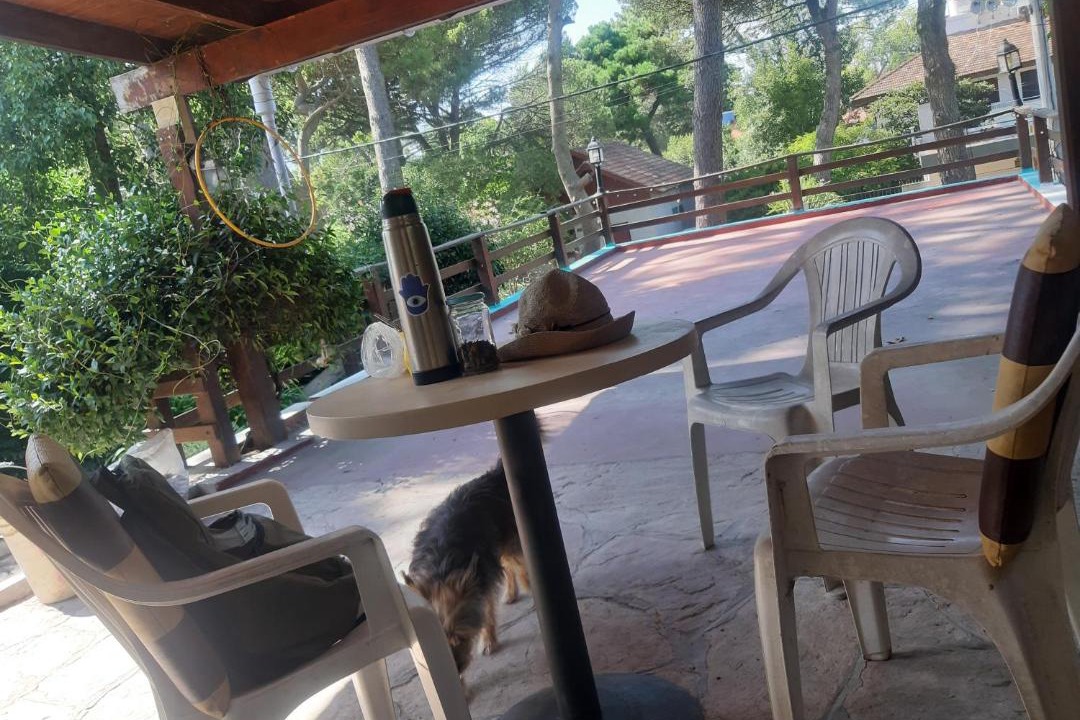 Photo of Others in Villa Gesell