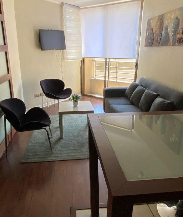 Photo of Livingroom in Bellas Artes
