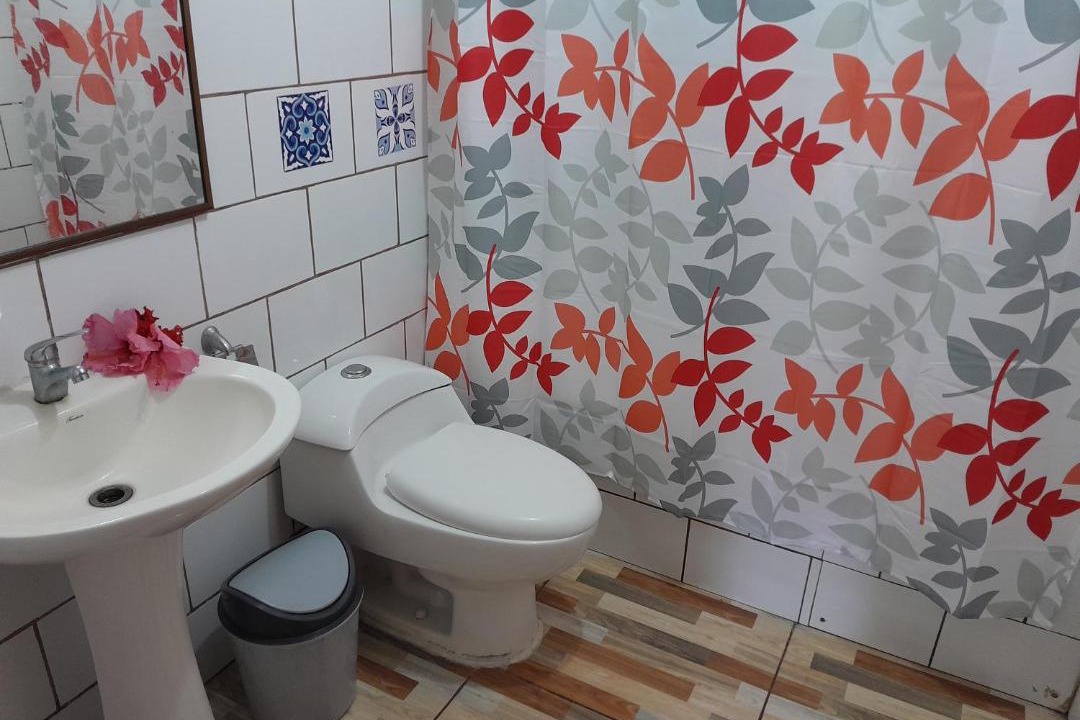 Photo of Bathroom in Hanga Roa