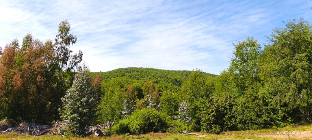 Photo of Outdoor in Angol