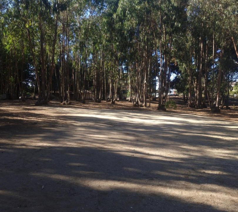 Photo of Outdoor in Caleta Horcon