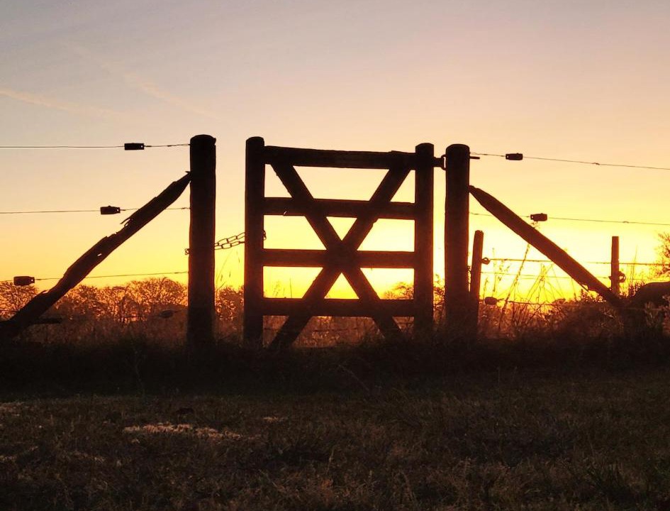 Photo of Others in San Antonio de Areco