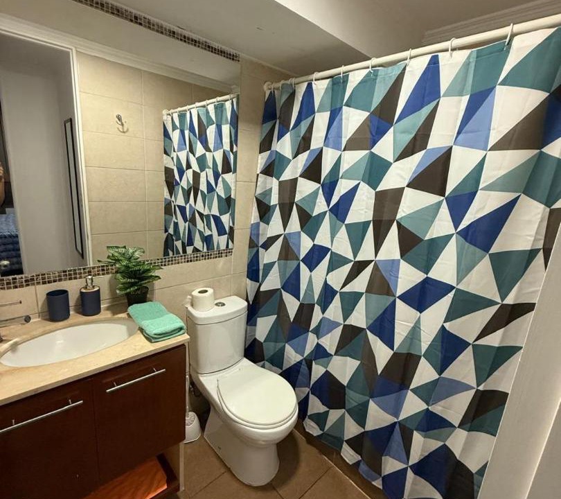Photo of Bathroom in Downtown Santiago