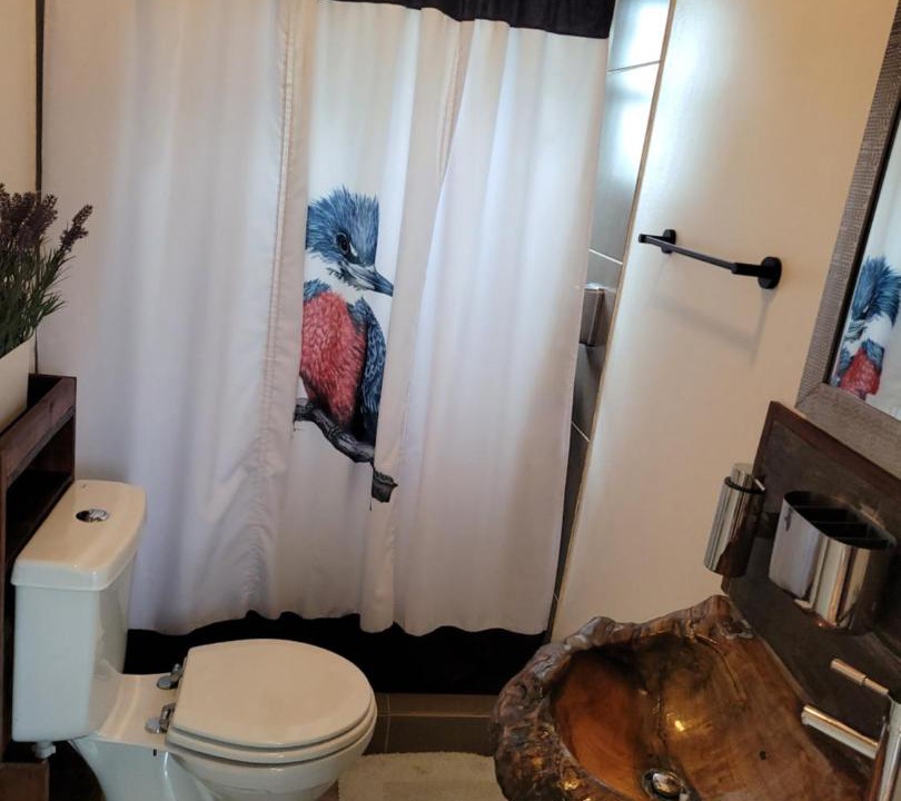 Photo of Bathroom in Rio Bueno