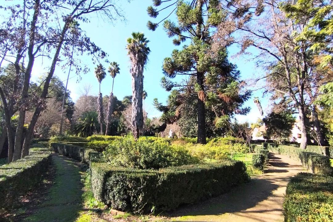 Photo of Others in Nancagua