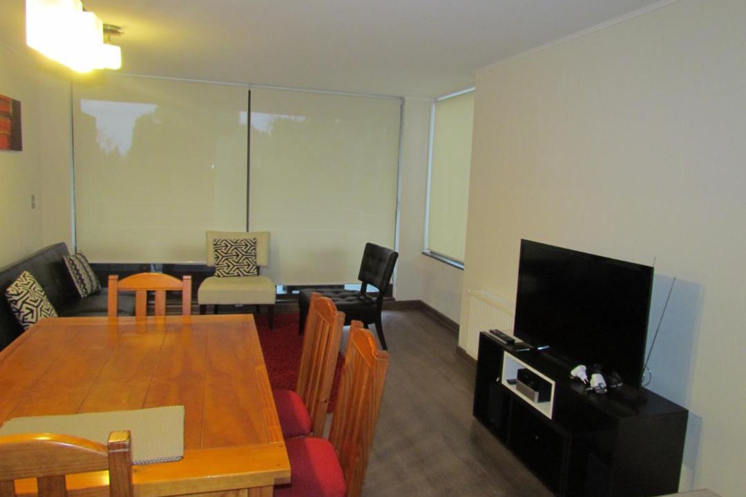 Photo of Livingroom in Pucon
