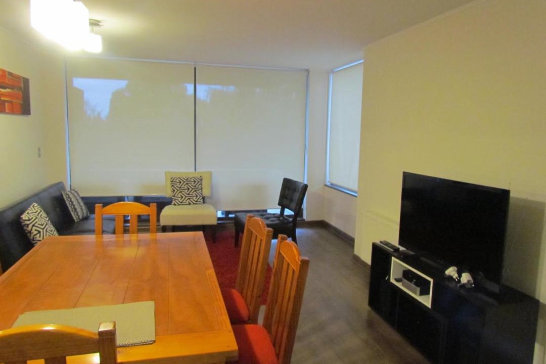 Photo of Livingroom in Pucon