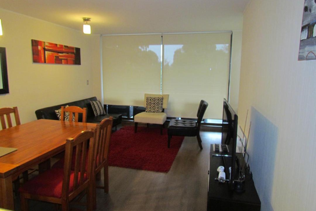 Photo of Livingroom in Pucon
