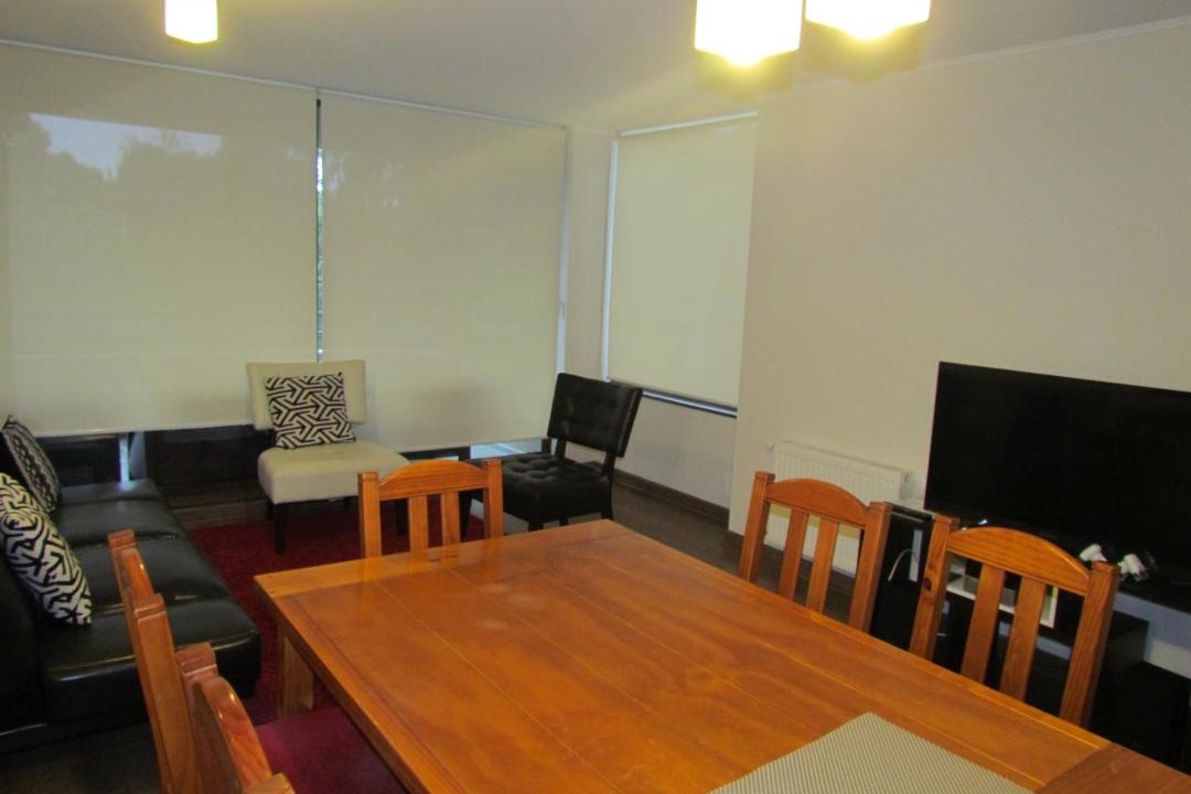 Photo of Livingroom in Pucon