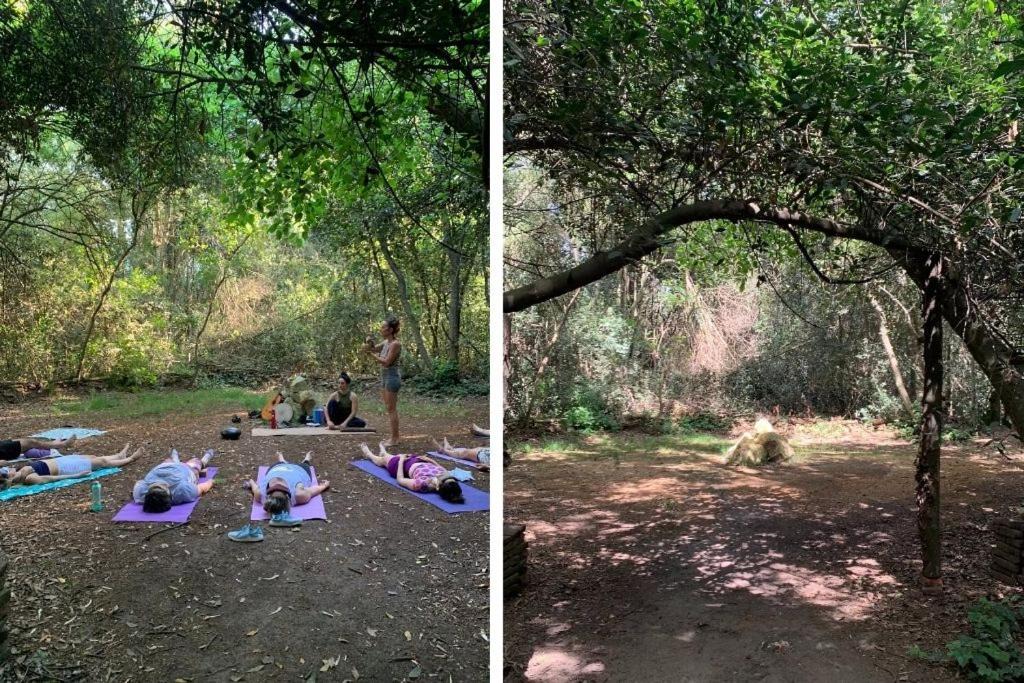 Photo of Outdoor in San Miguel del Monte