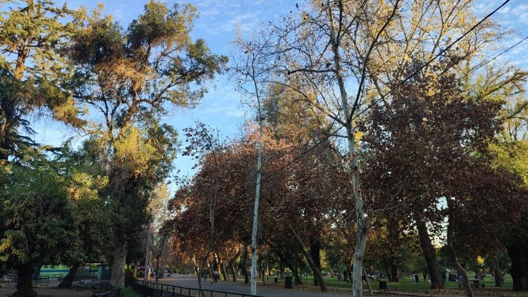 Photo of Others in Linares Province