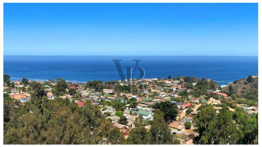 Photo of Others in Algarrobo