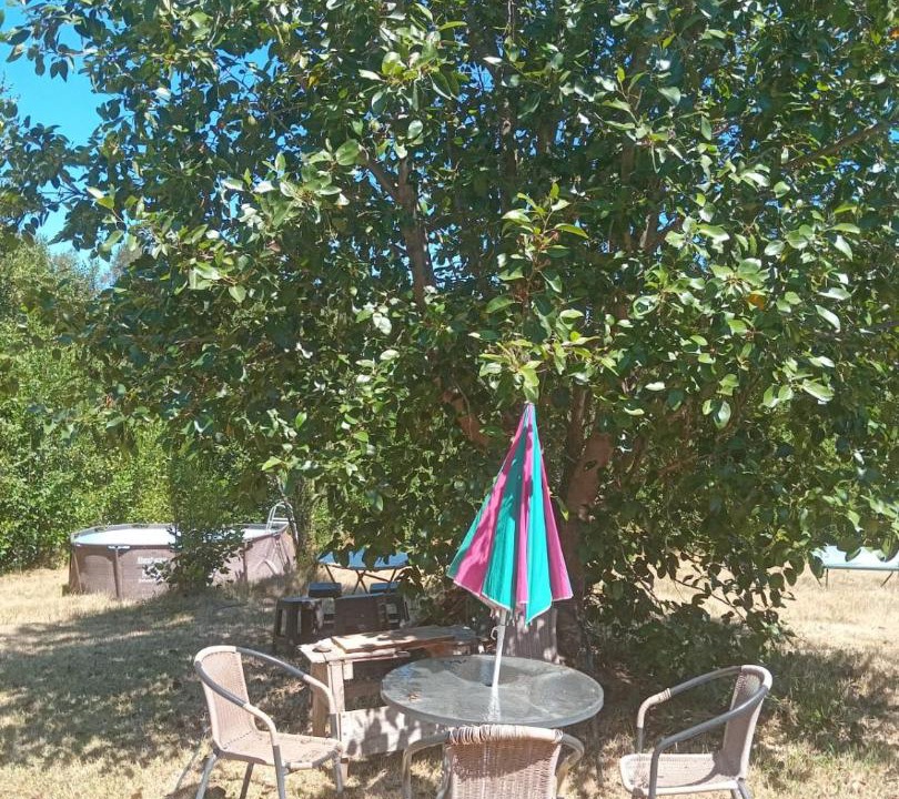 Photo of Outdoor in Villarrica