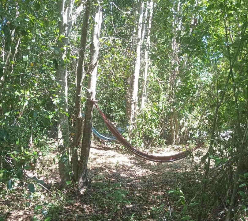 Photo of Outdoor in Villarrica