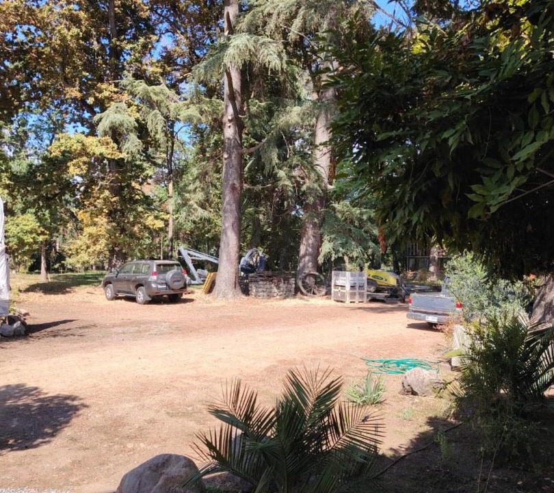Photo of Others in Rauco