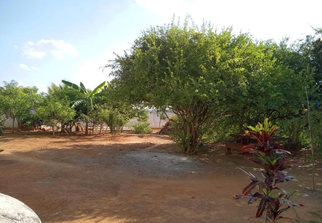 Photo of Others in Lagoa Seca