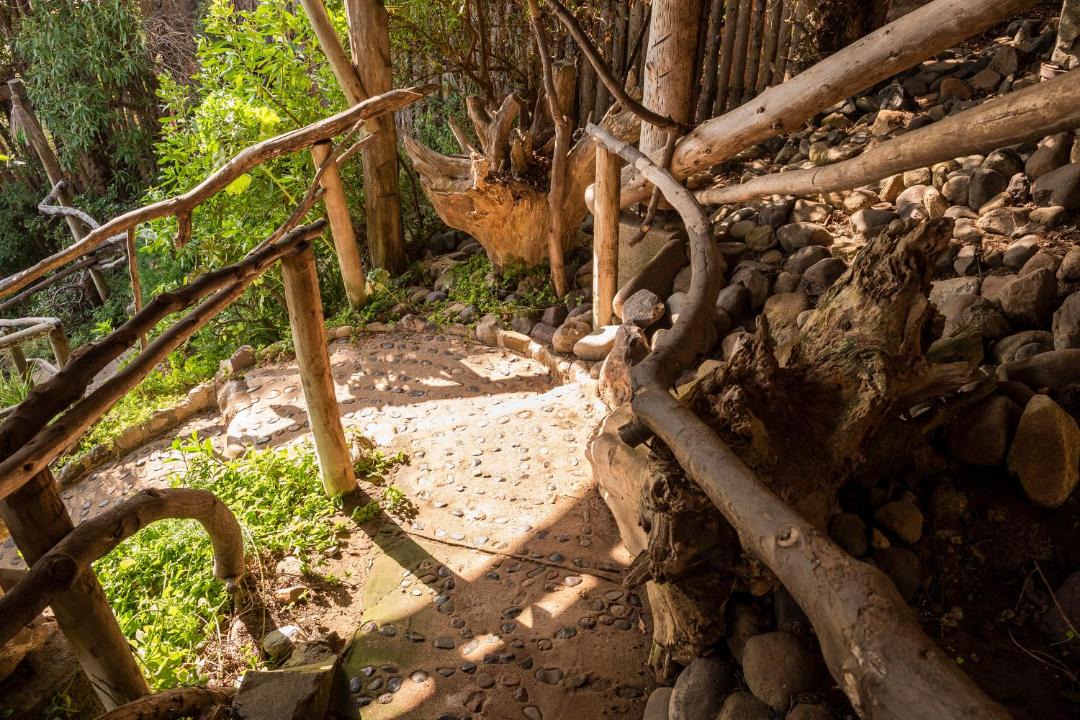 Photo of Others in Maitencillo