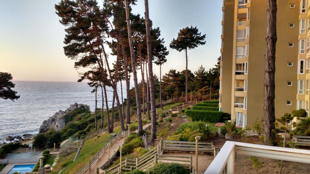 Photo of Others in Algarrobo