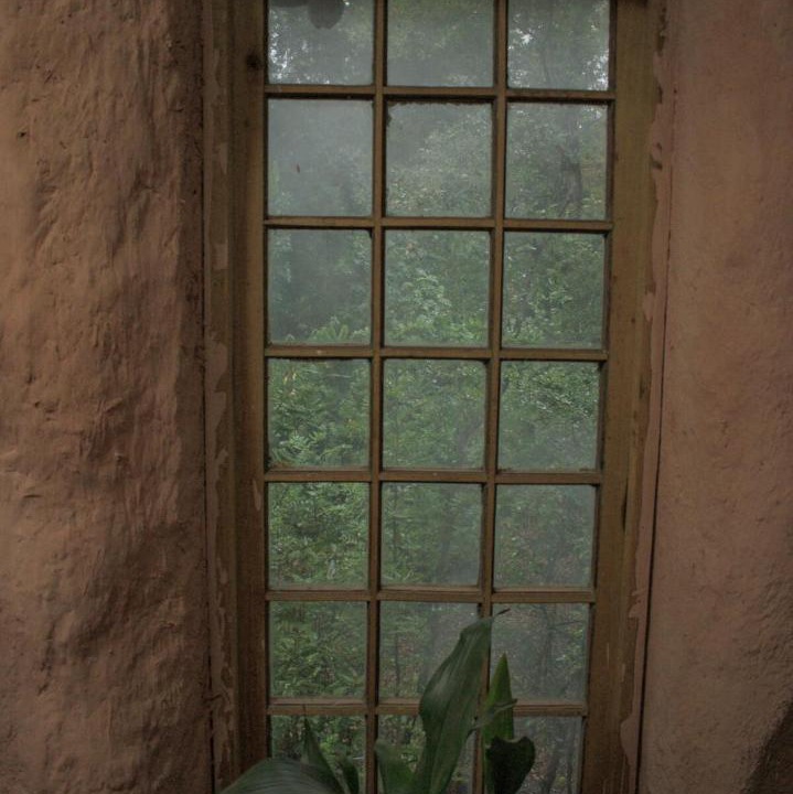 Photo of Others in Pinto