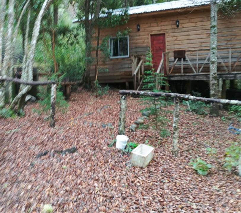 Photo of Others in Pucon