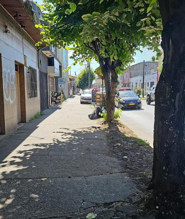 Photo of Others in Temuco