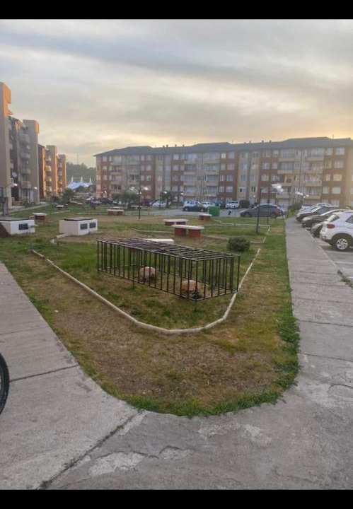 Photo of Others in Curico