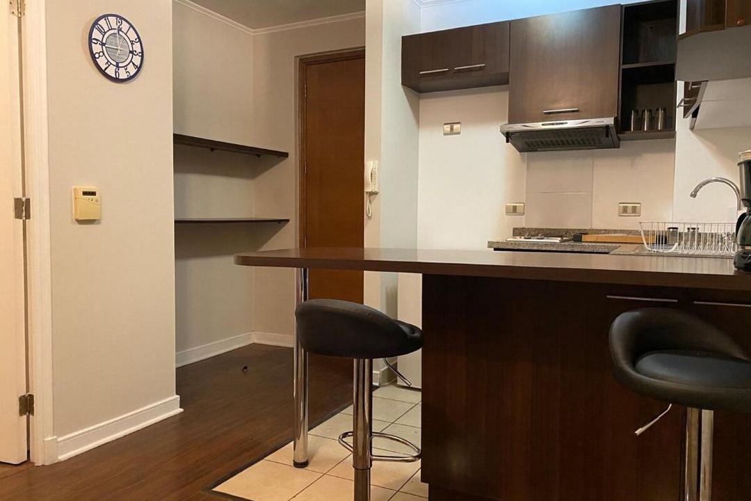 Photo of Kitchen in Downtown Santiago
