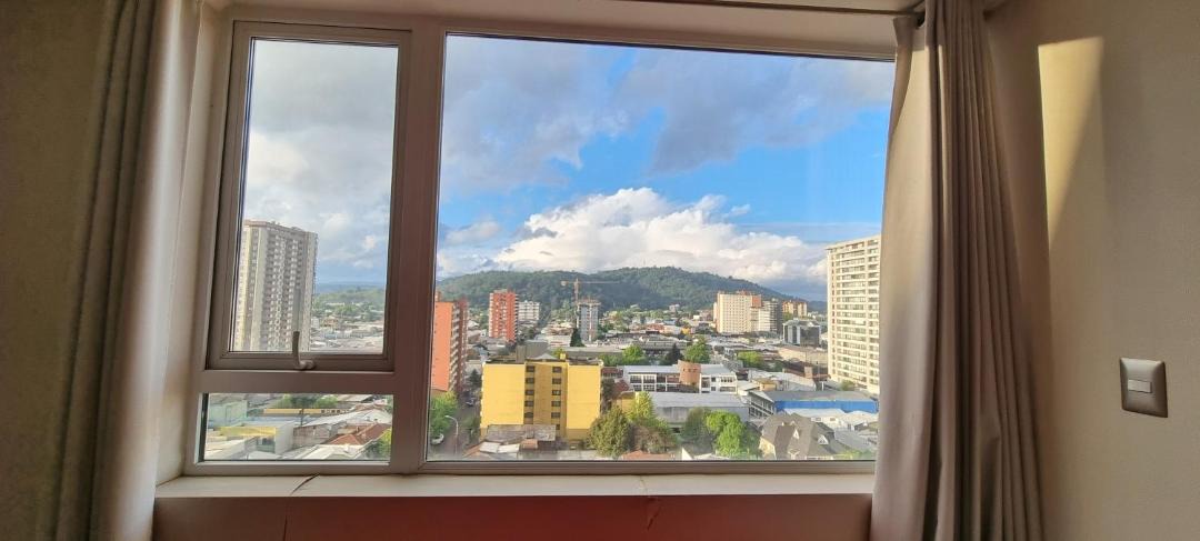 Photo of Others in Temuco