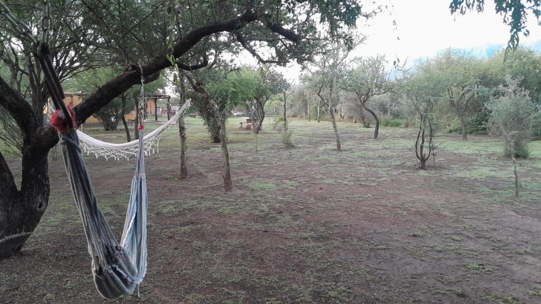 Photo of Others in Merlo