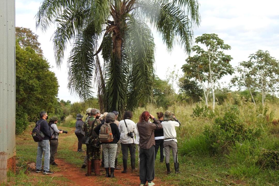 Photo of Others in Puerto Iguazu