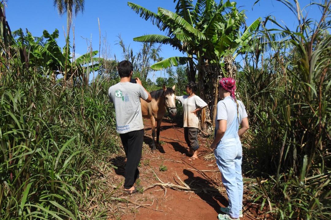 Photo of Others in Puerto Iguazu