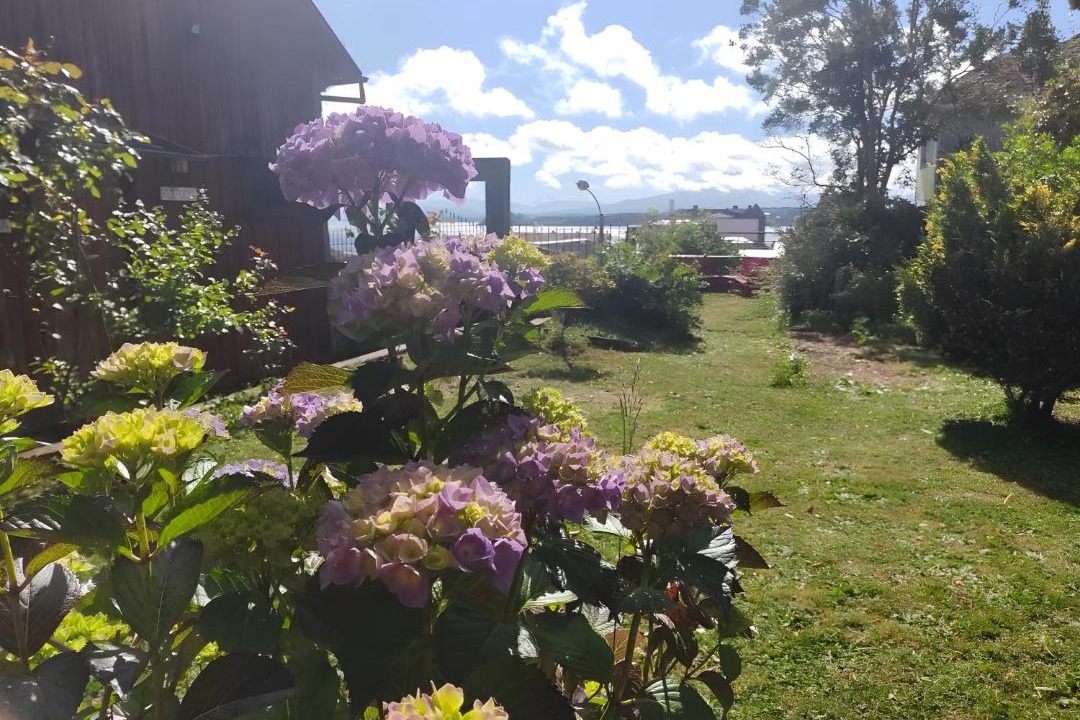 Photo of Others in Puerto Varas