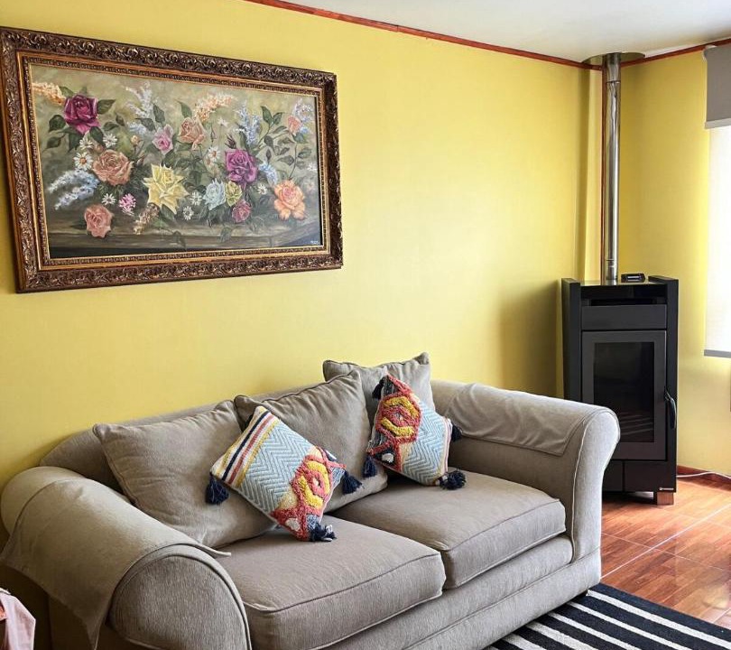 Photo of Livingroom in Curacautin