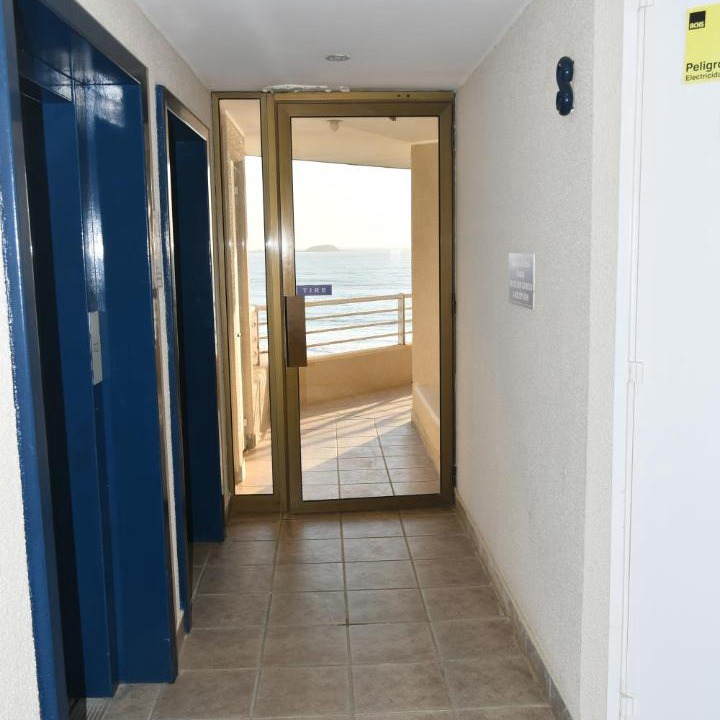 Photo of Others in Algarrobo