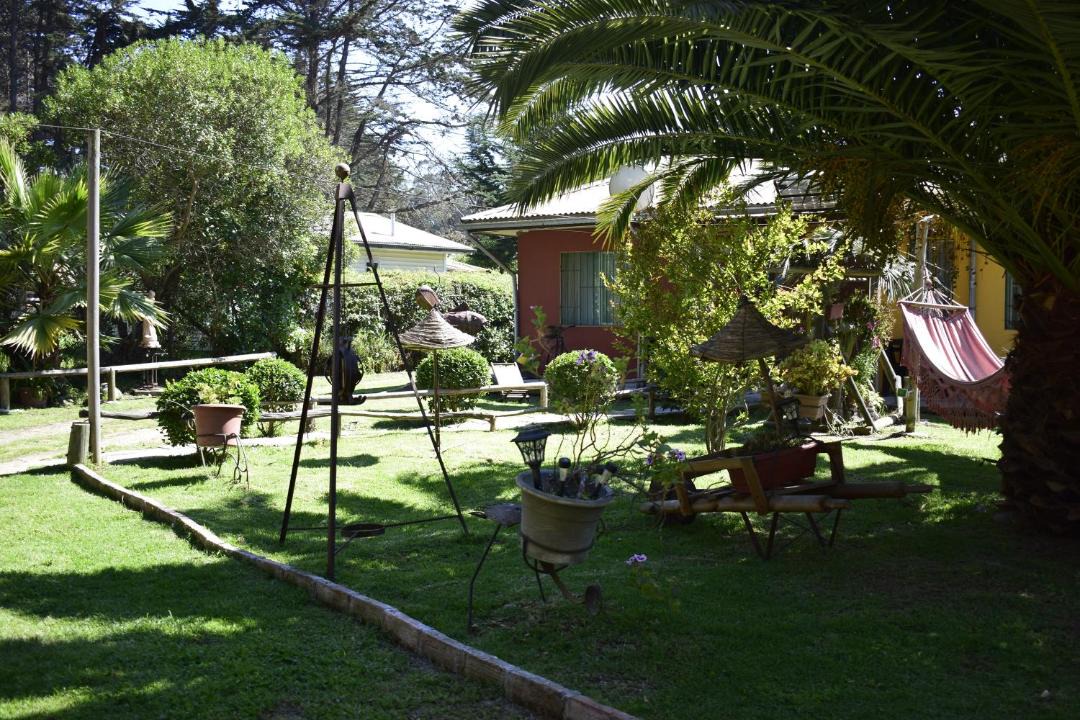 Photo of Others in Isla Negra