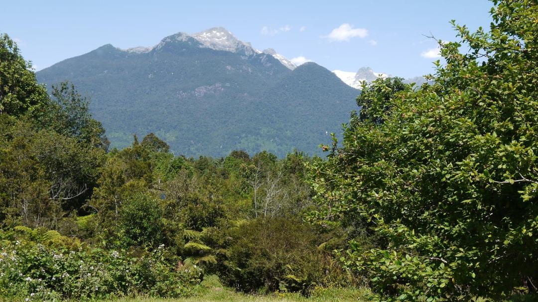 Photo of Others in Hornopiren National Park