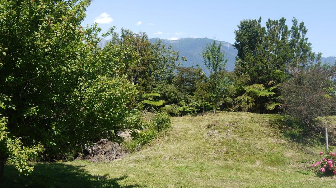 Photo of Others in Hornopiren National Park